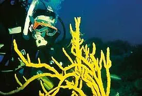 Maison d'hôtes Seliche Cala Gonone